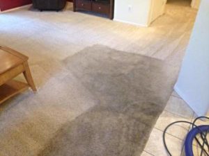 Carpet Cleaning North shore